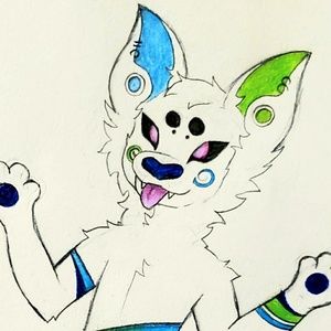 Meet your Posher, Arin